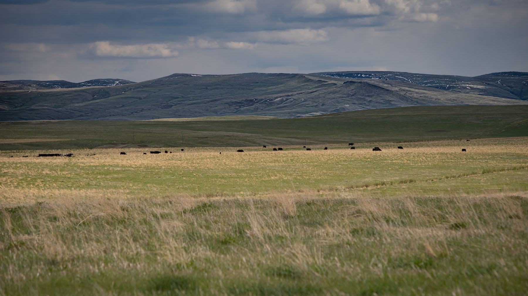 Schrammeck Ranch property picture 28 of 36