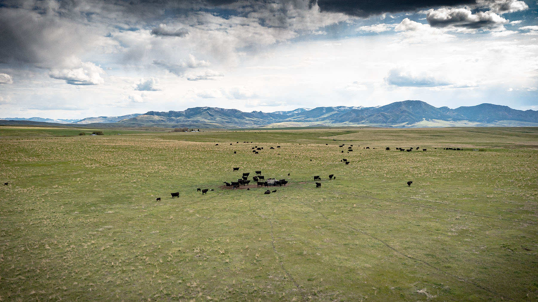 Schrammeck Ranch property picture 2 of 36