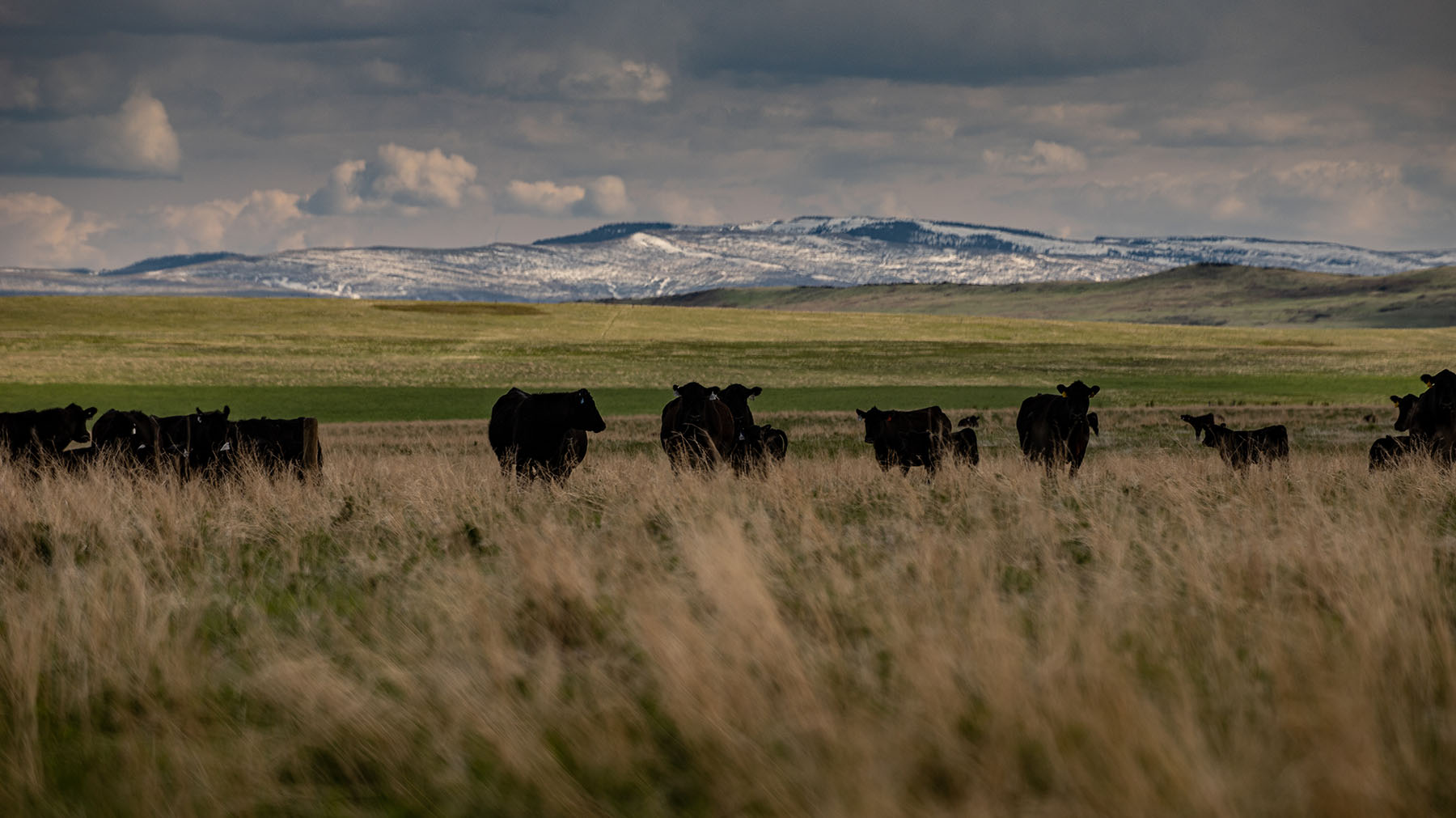 Schrammeck Ranch property picture 19 of 36