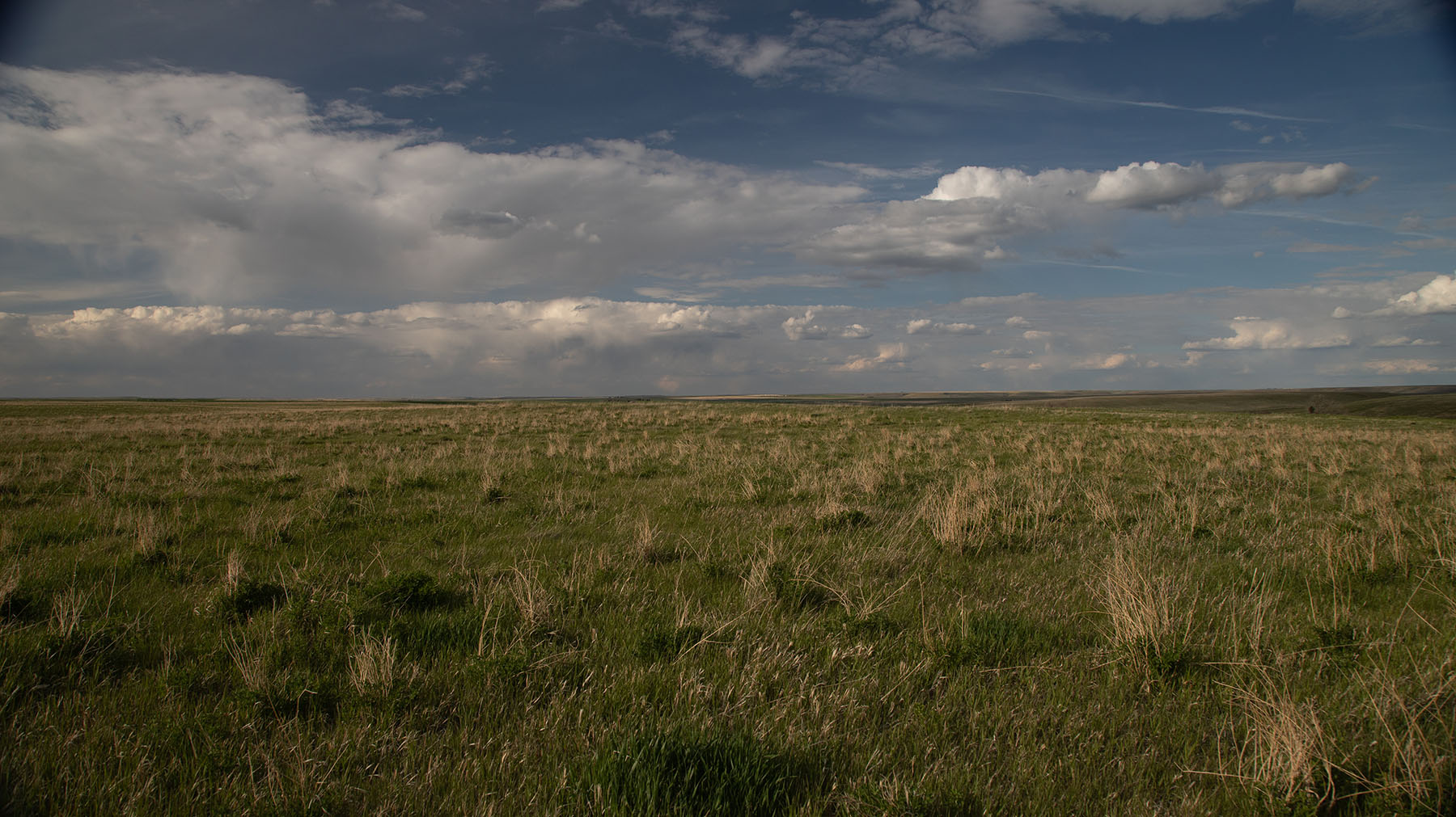 Schrammeck Ranch property picture 18 of 36