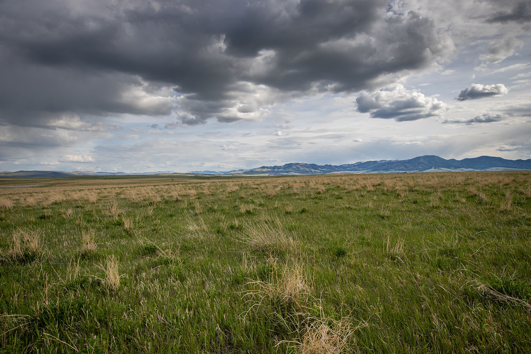 Schrammeck Ranch property picture 32 of 36