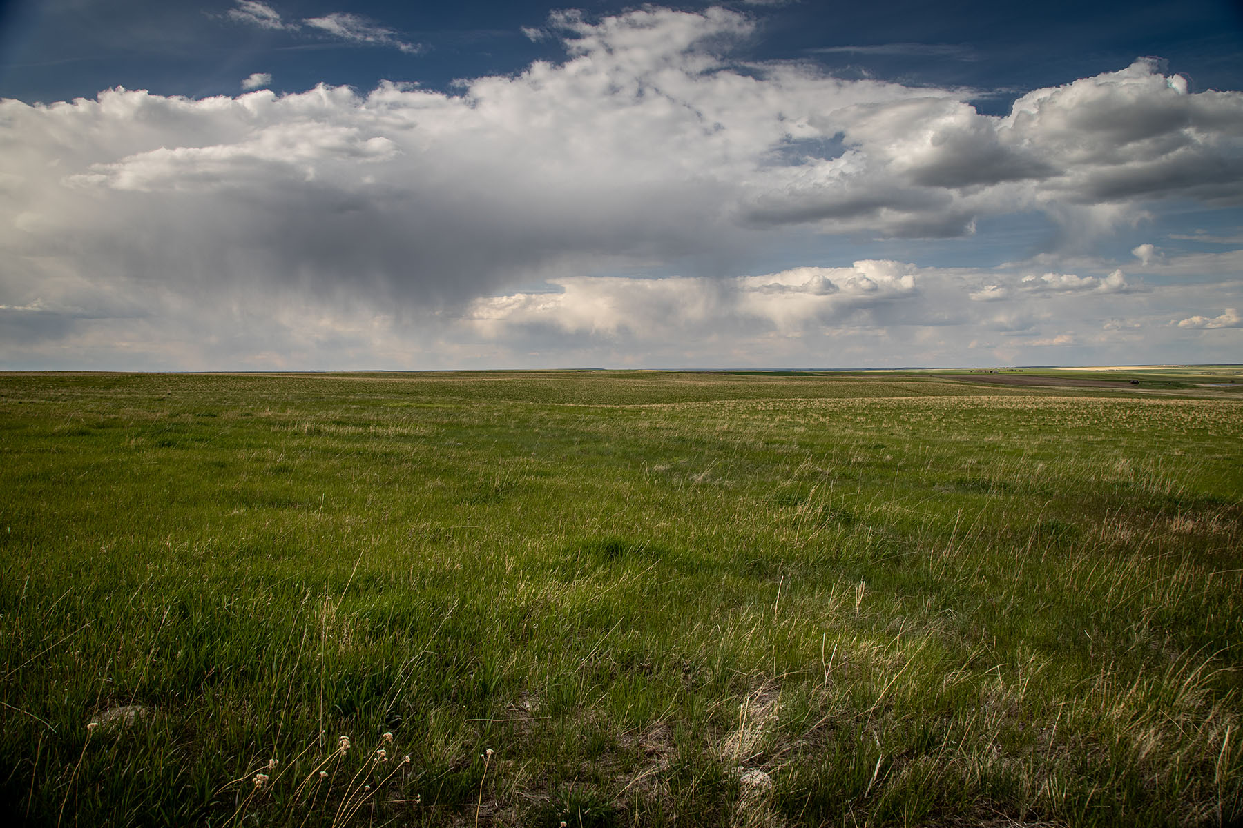 Schrammeck Ranch property picture 29 of 36