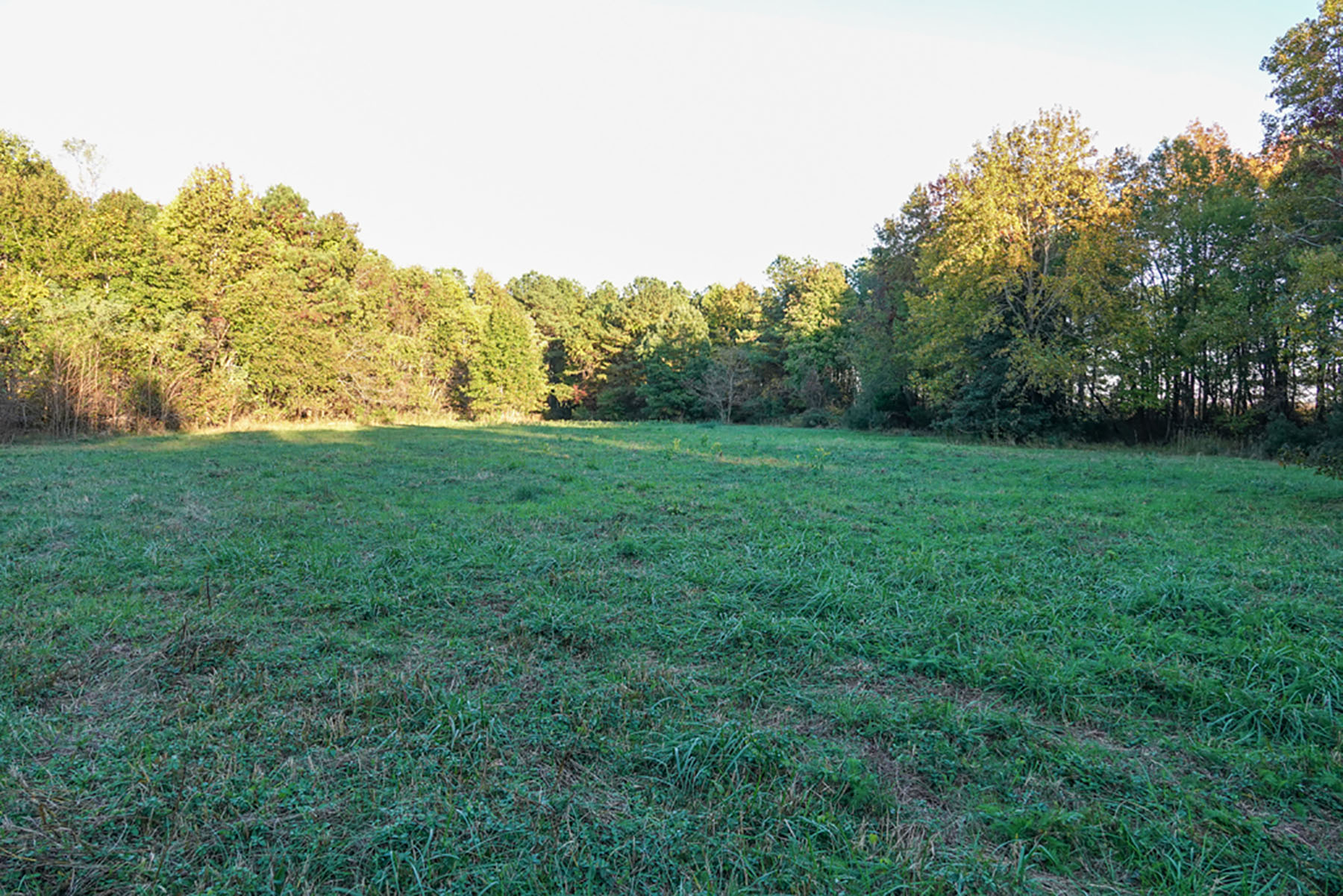 Bluff Point property picture 10 of 43