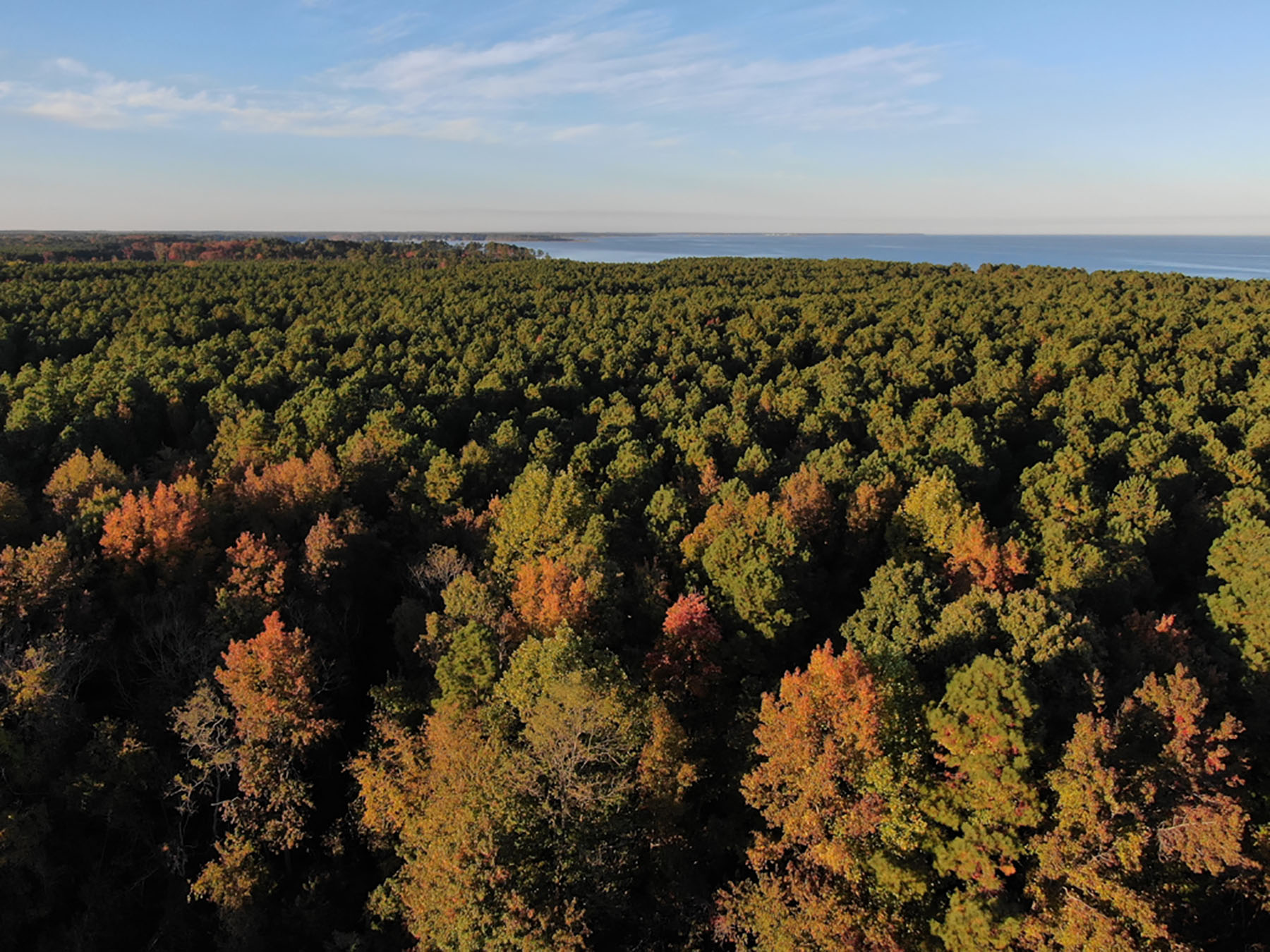 Bluff Point property picture 20 of 43