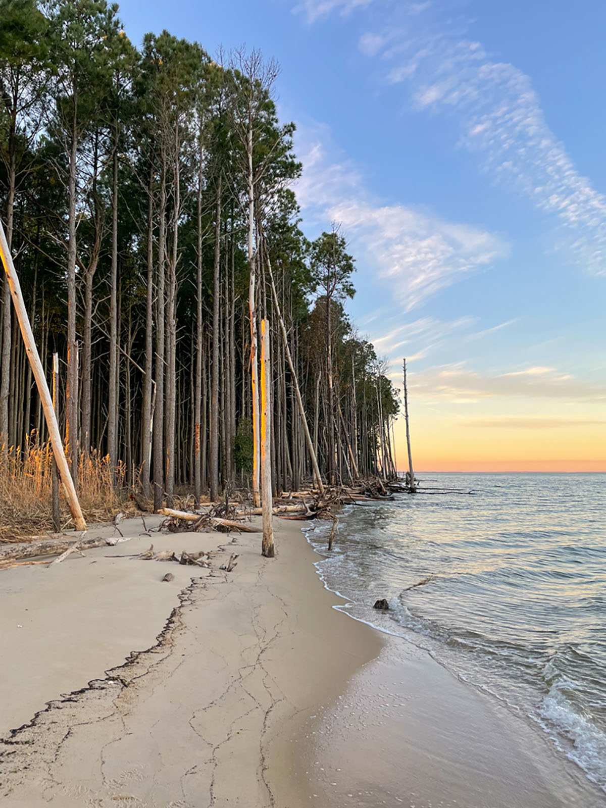 Bluff Point property picture 17 of 43