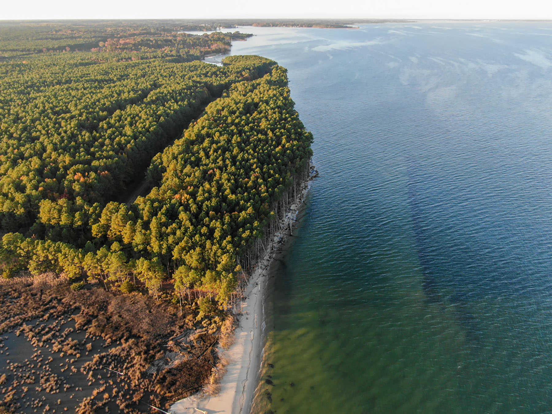 Bluff Point property picture 30 of 43