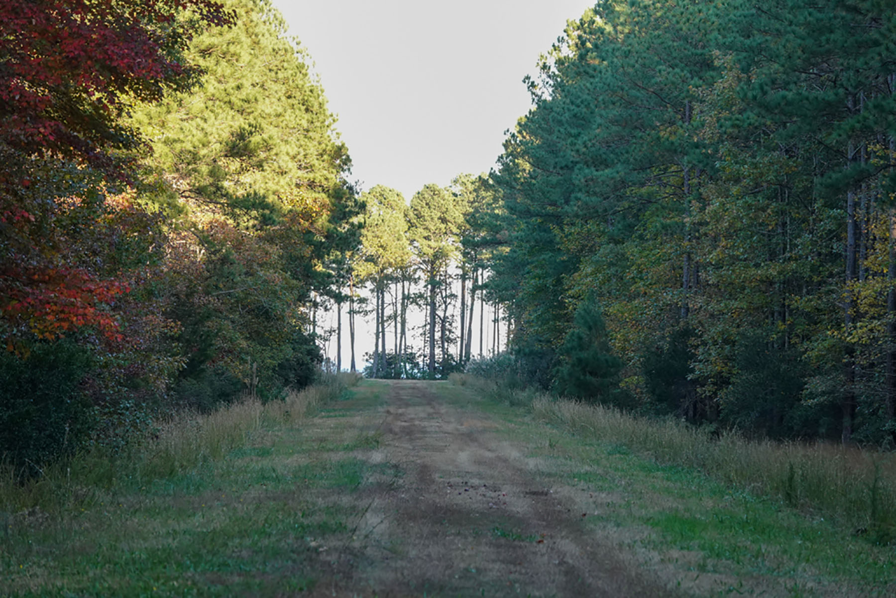 Bluff Point property picture 8 of 43