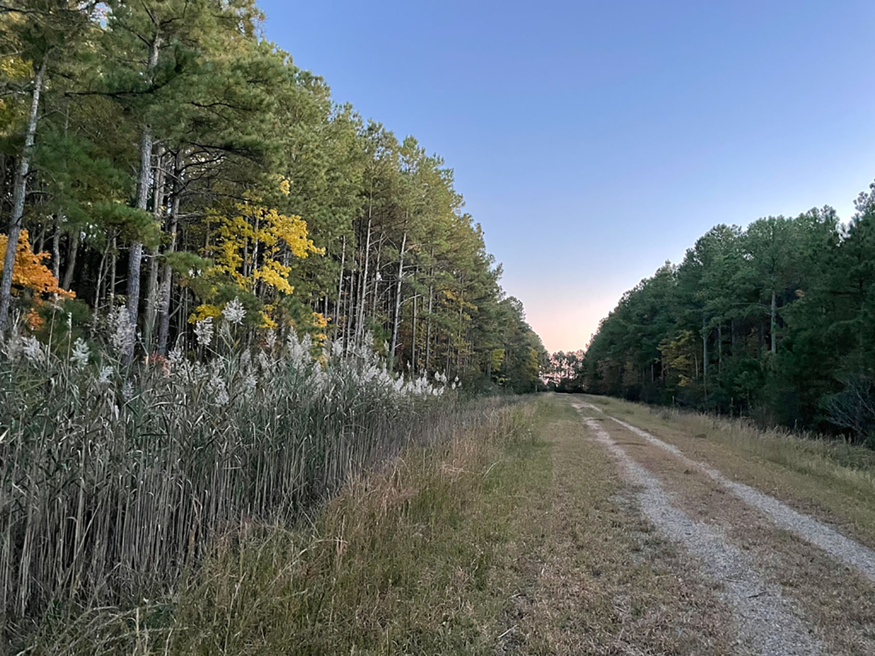 Bluff Point property picture 41 of 43