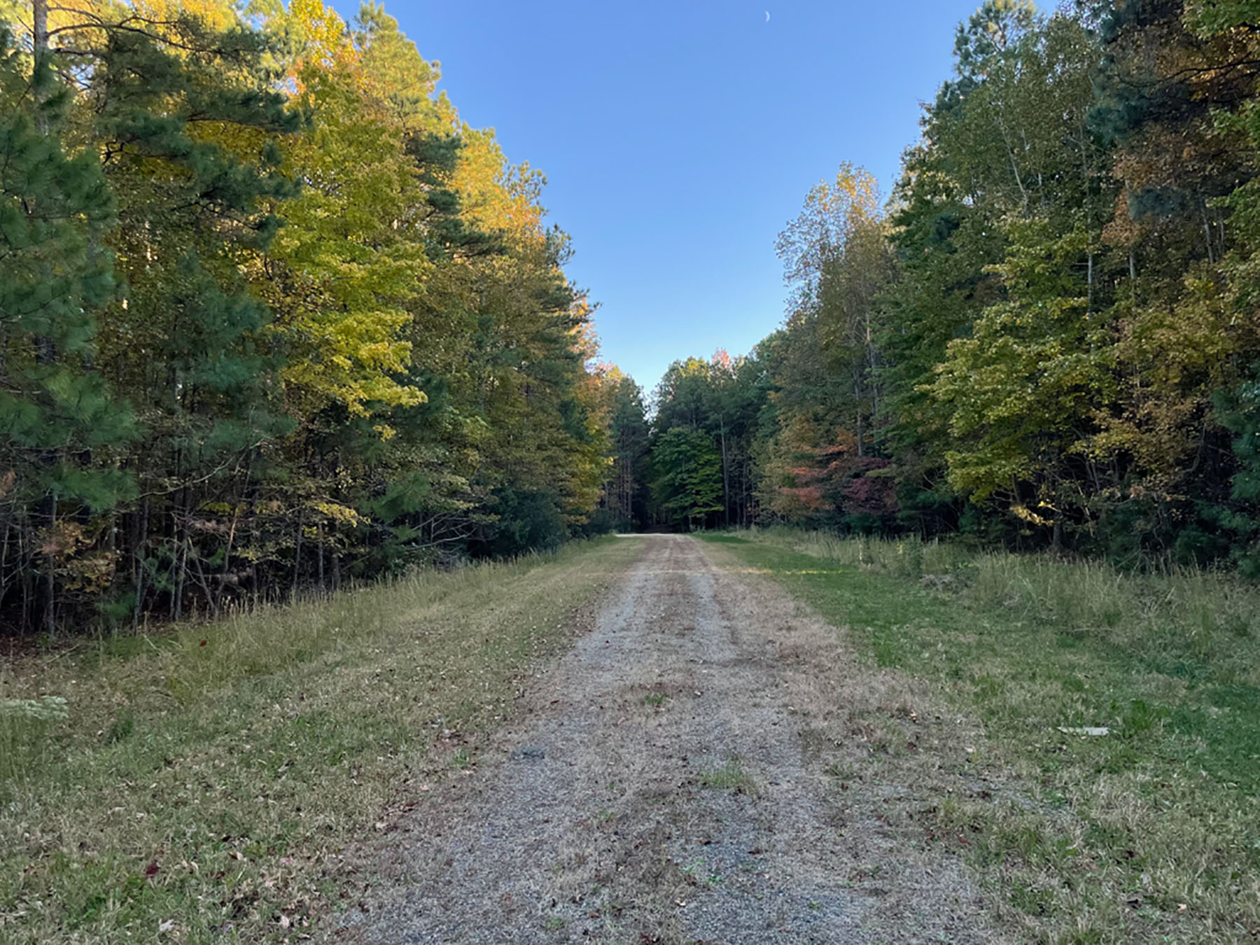 Bluff Point property picture 6 of 43