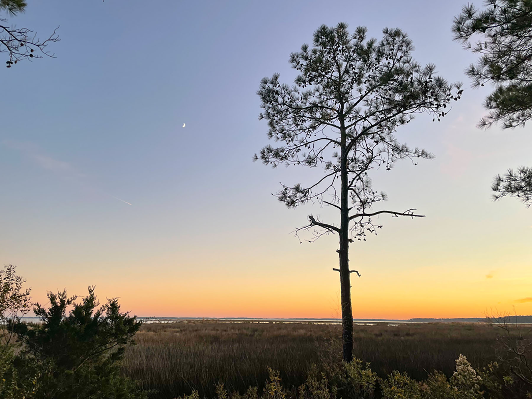 Bluff Point property picture 43 of 43