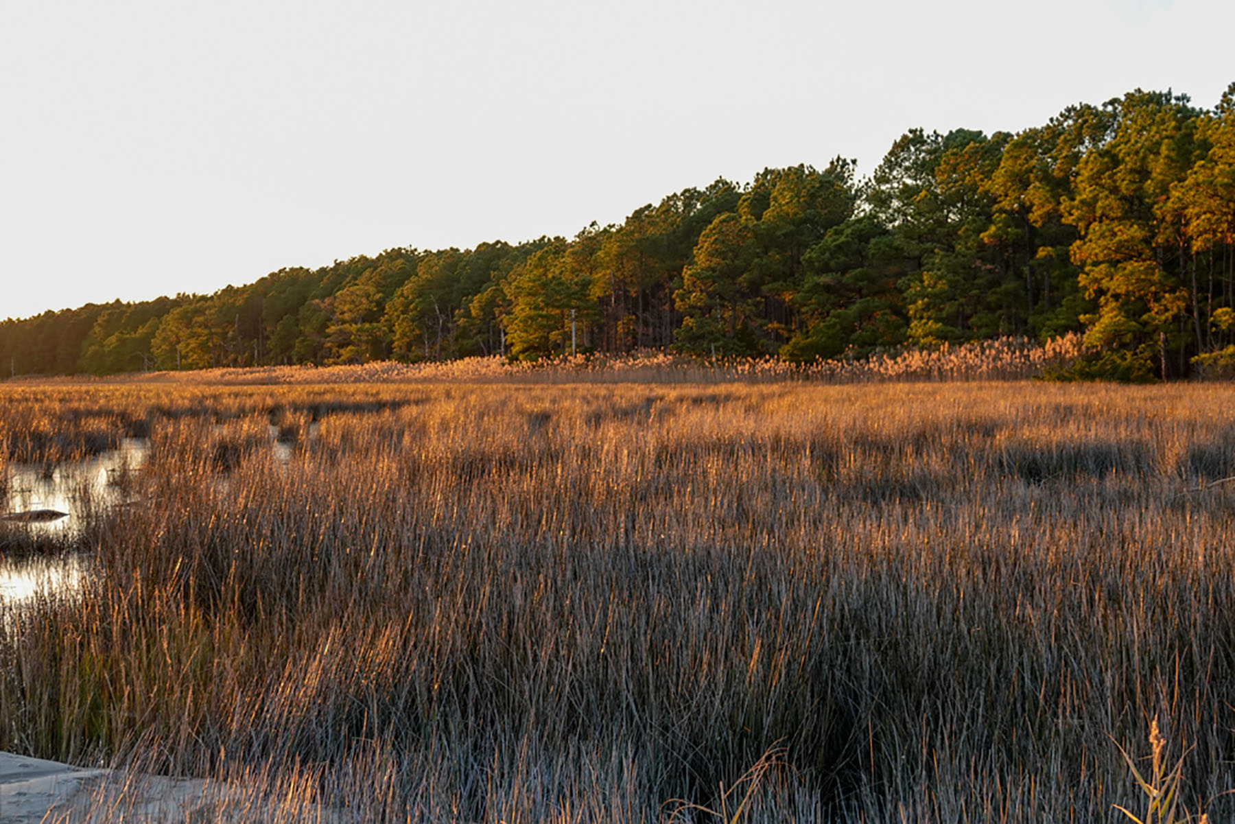 Bluff Point property picture 5 of 43