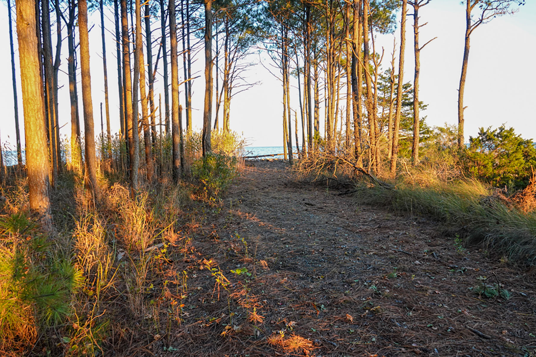 Bluff Point property picture 14 of 43