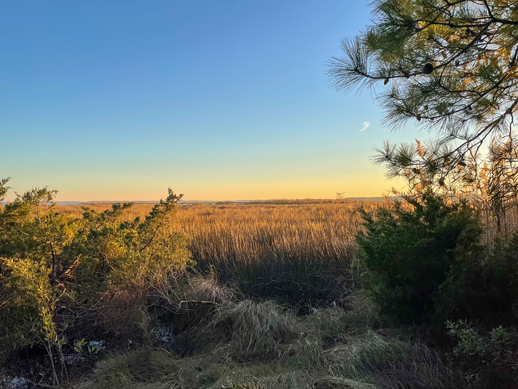 Bluff Point property picture 42 of 43