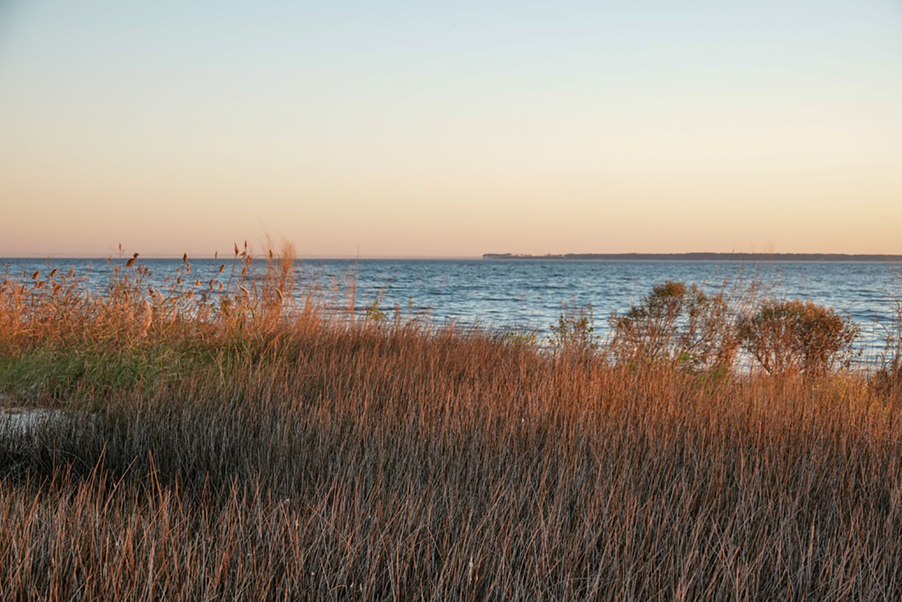 Bluff Point property picture 16 of 43