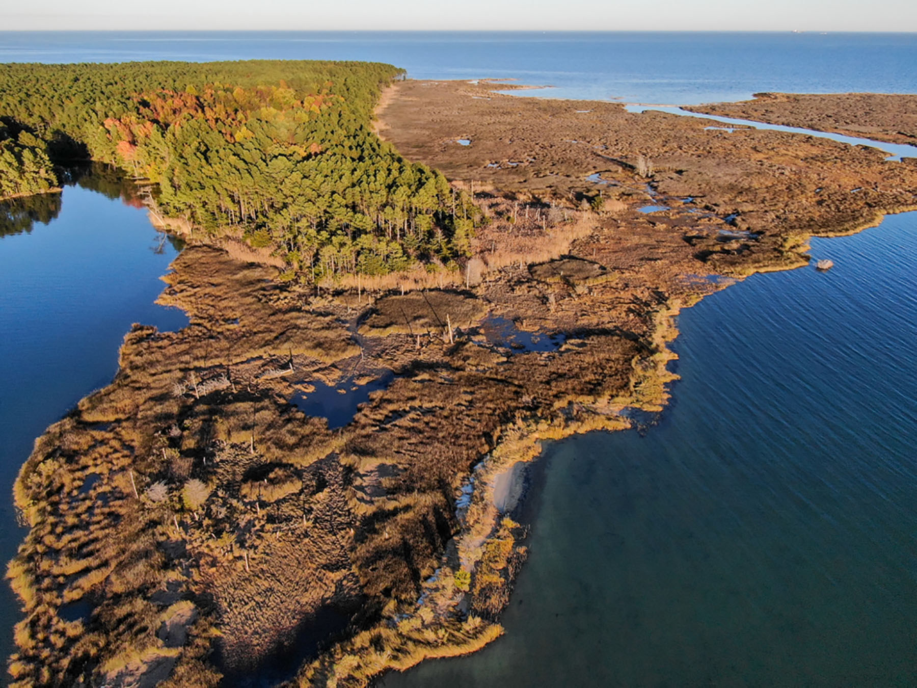 Bluff Point property picture 21 of 43