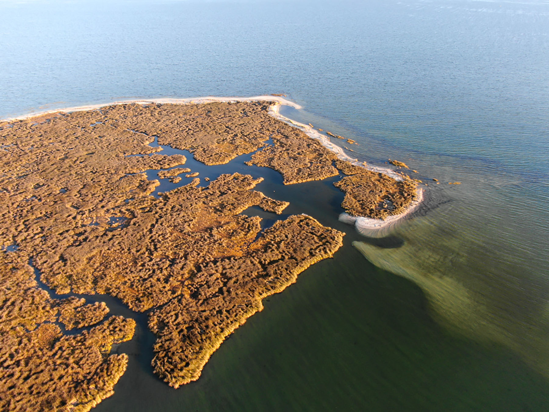 Bluff Point property picture 23 of 43