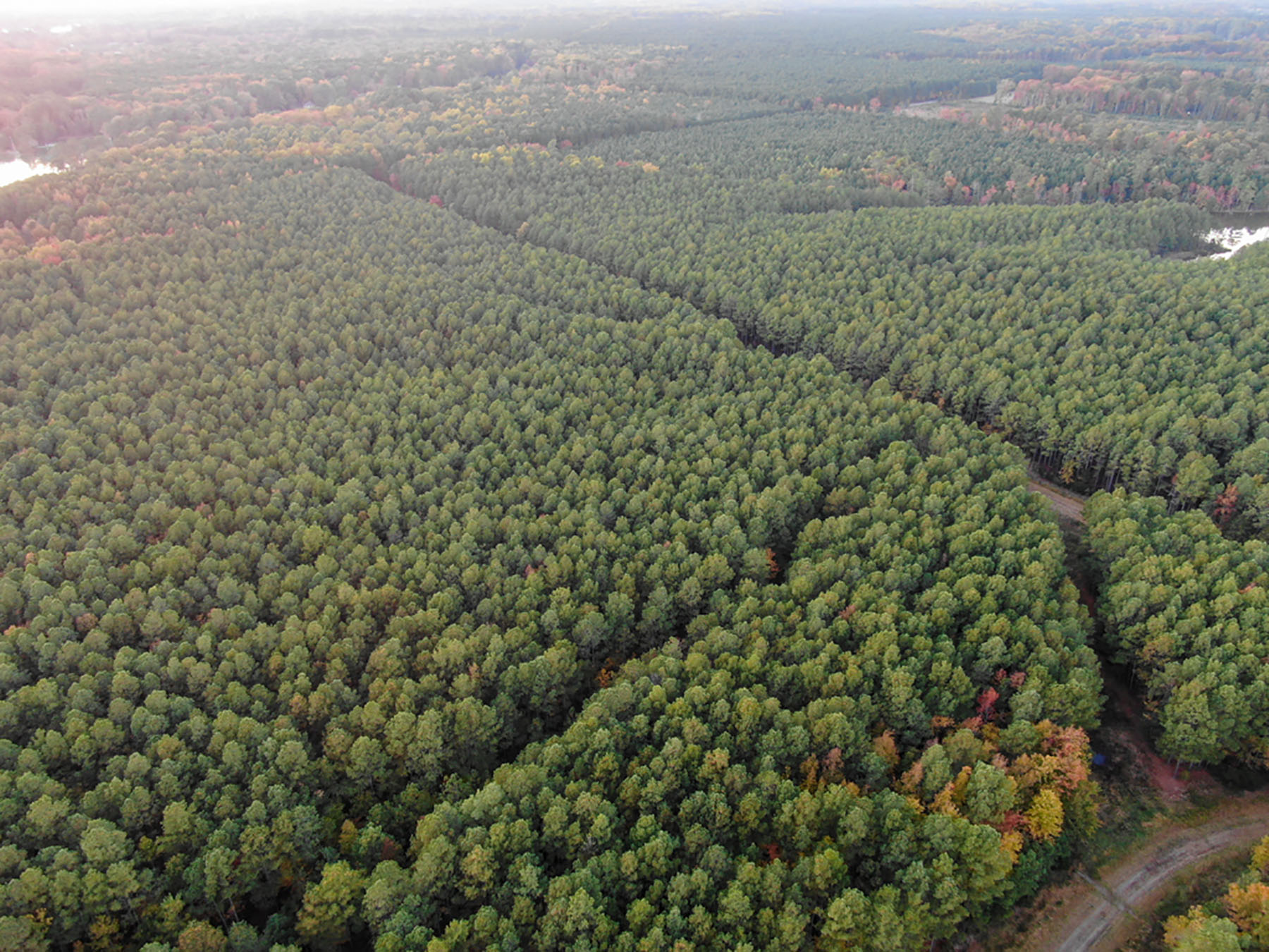 Bluff Point property picture 34 of 43