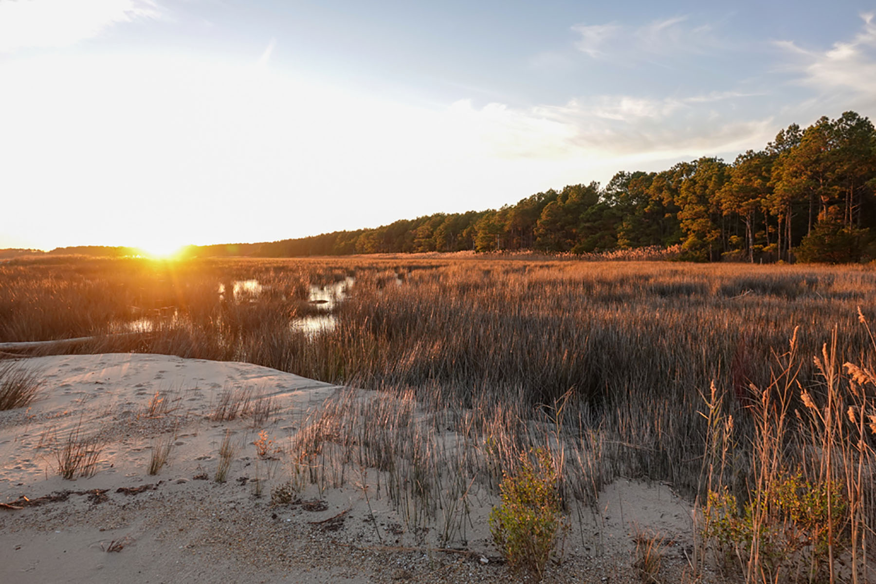 Bluff Point property picture 4 of 43