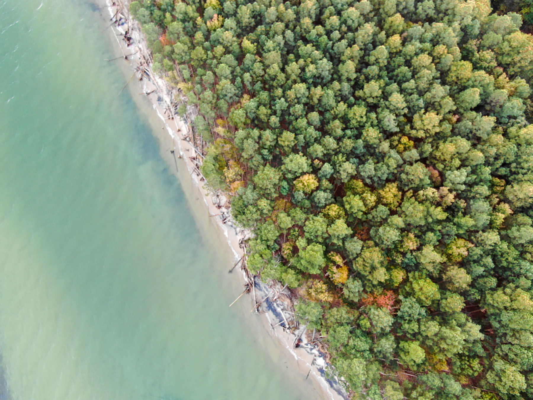 Bluff Point property picture 37 of 43