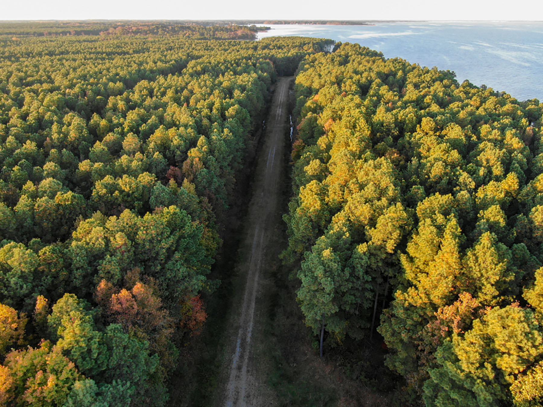 Bluff Point property picture 31 of 43