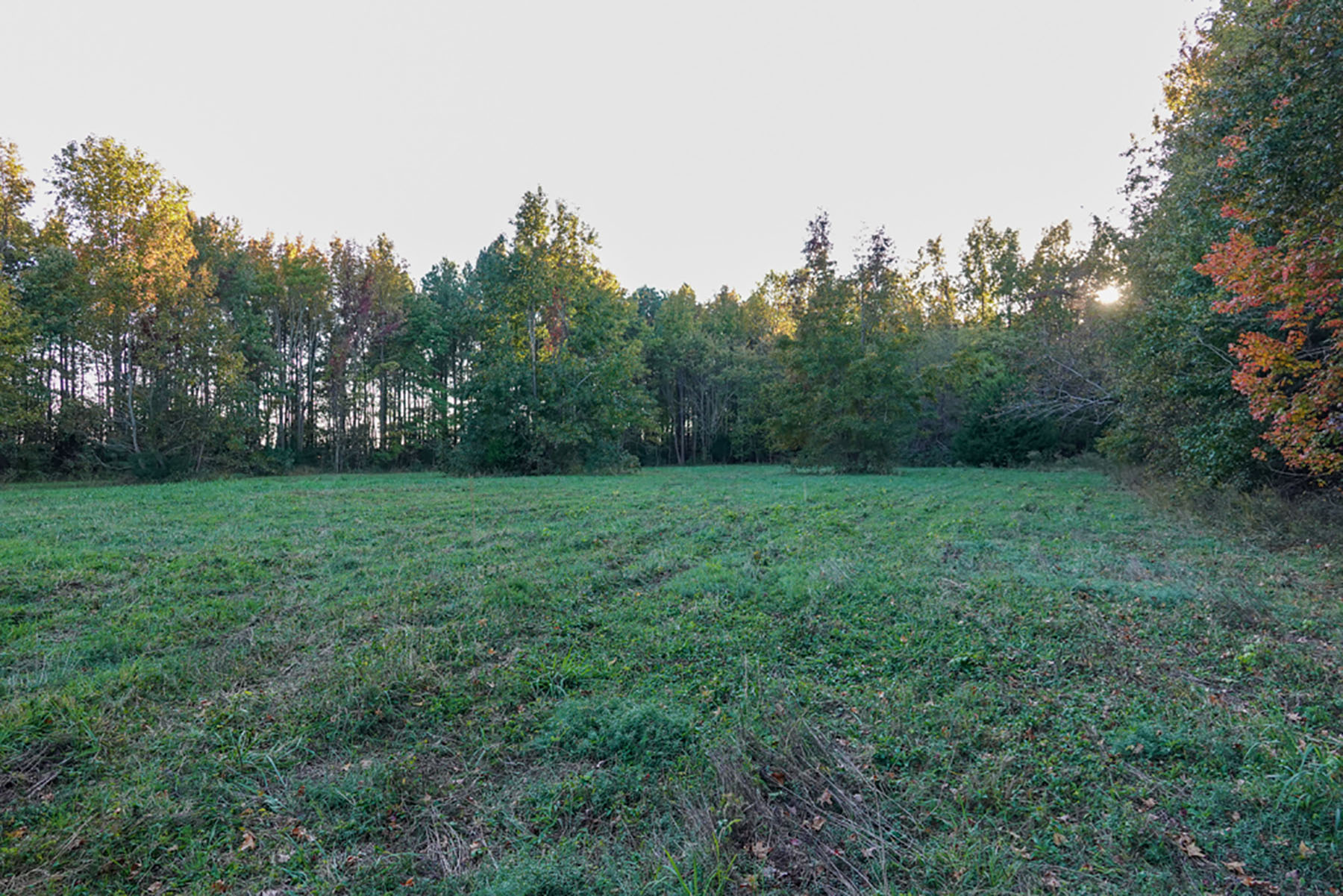 Bluff Point property picture 11 of 43