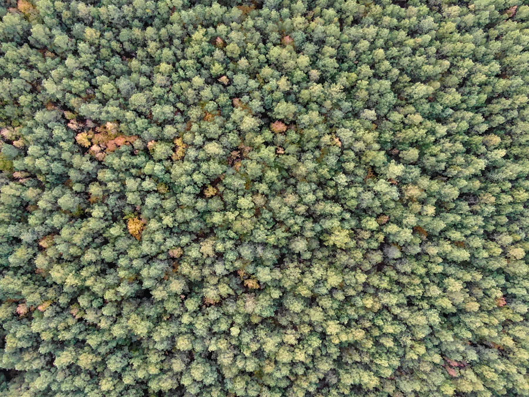 Bluff Point property picture 36 of 43