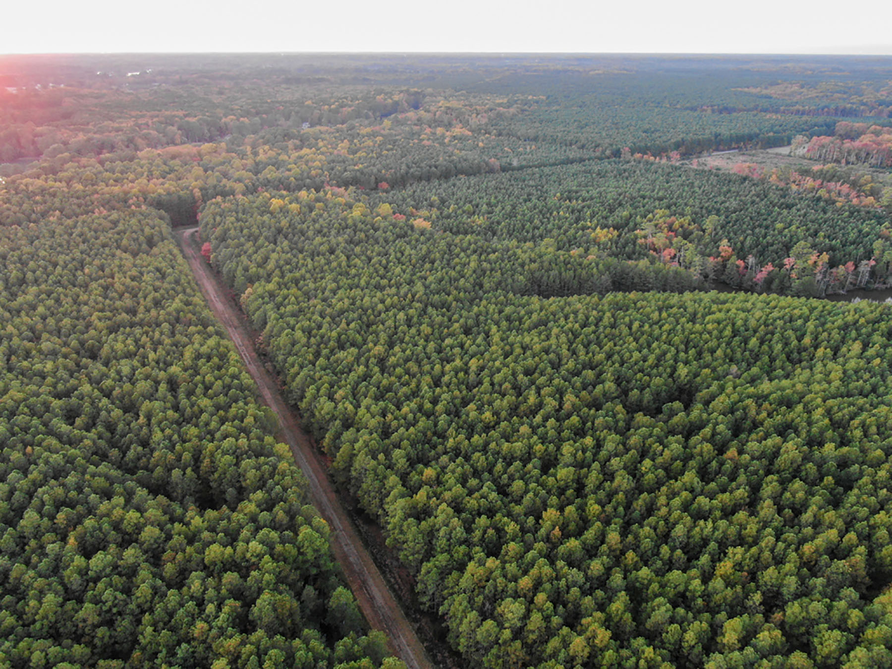 Bluff Point property picture 35 of 43