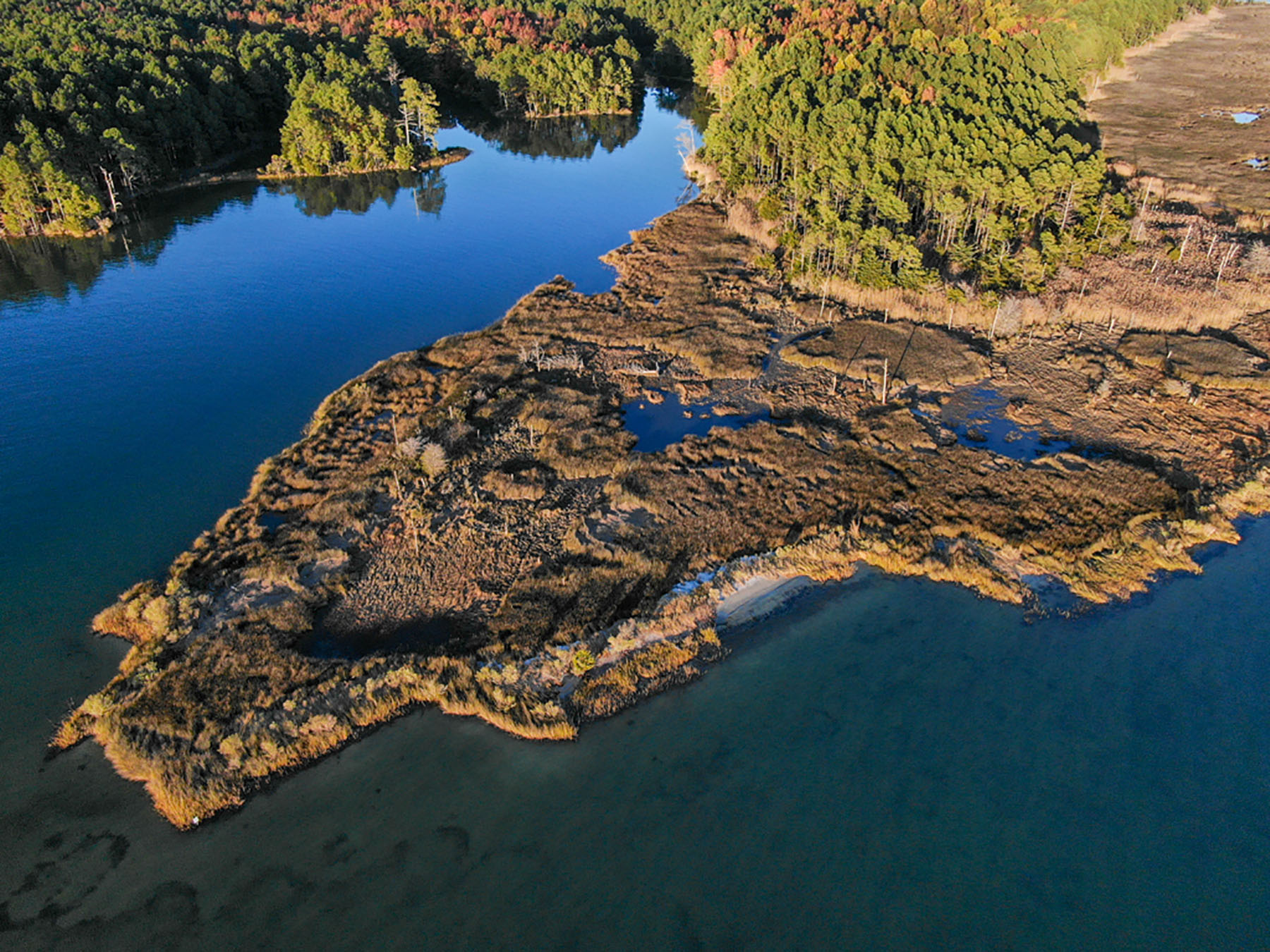 Bluff Point property picture 18 of 43