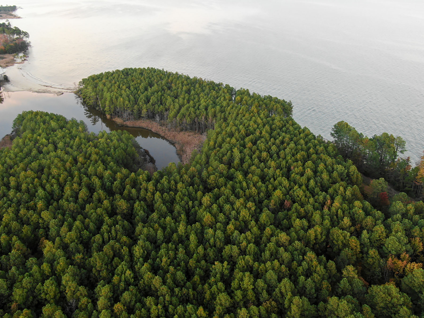 Bluff Point property picture 33 of 43