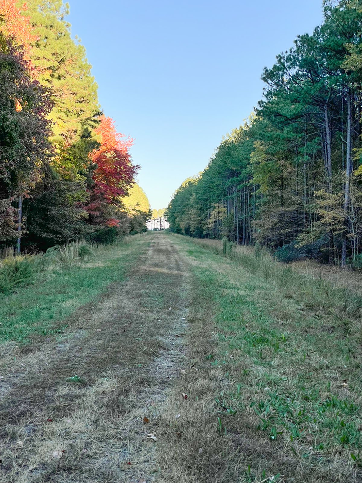 Bluff Point property picture 7 of 43