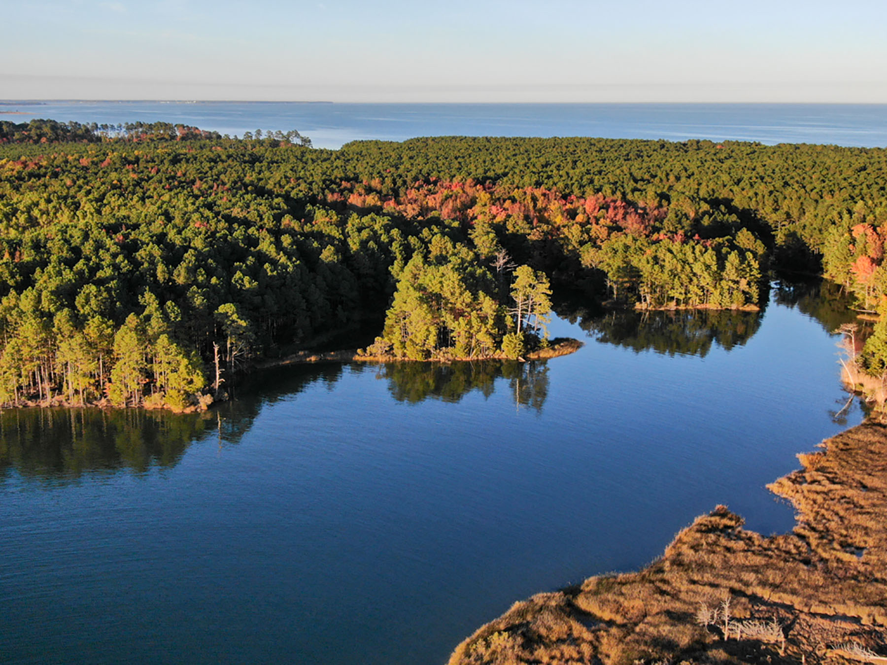 Bluff Point property picture 19 of 43