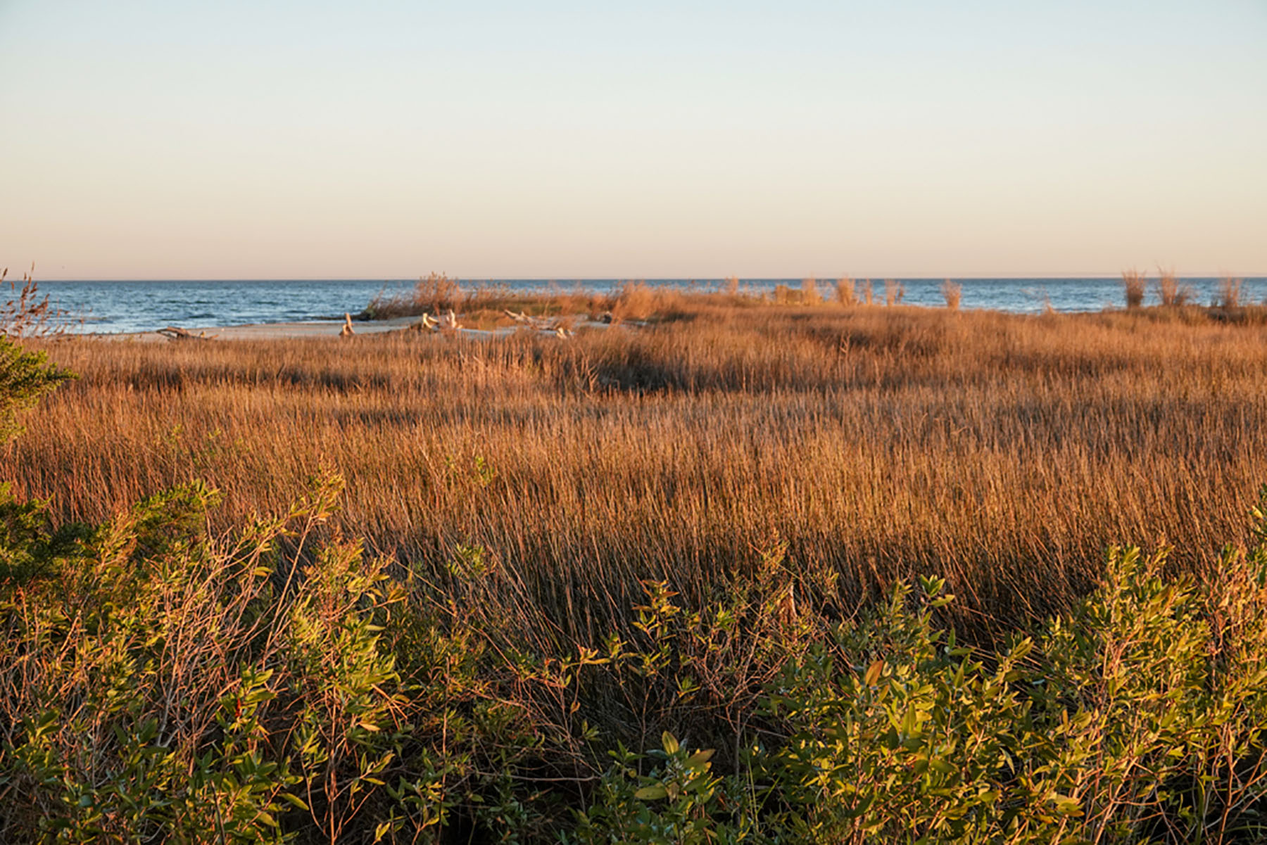 Bluff Point property picture 15 of 43