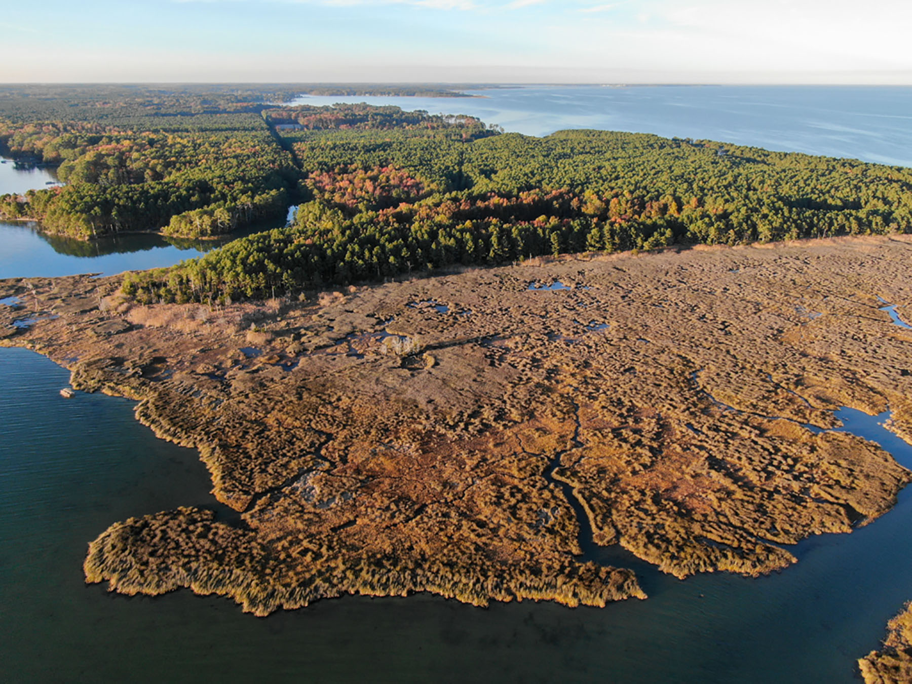 Bluff Point property picture 24 of 43