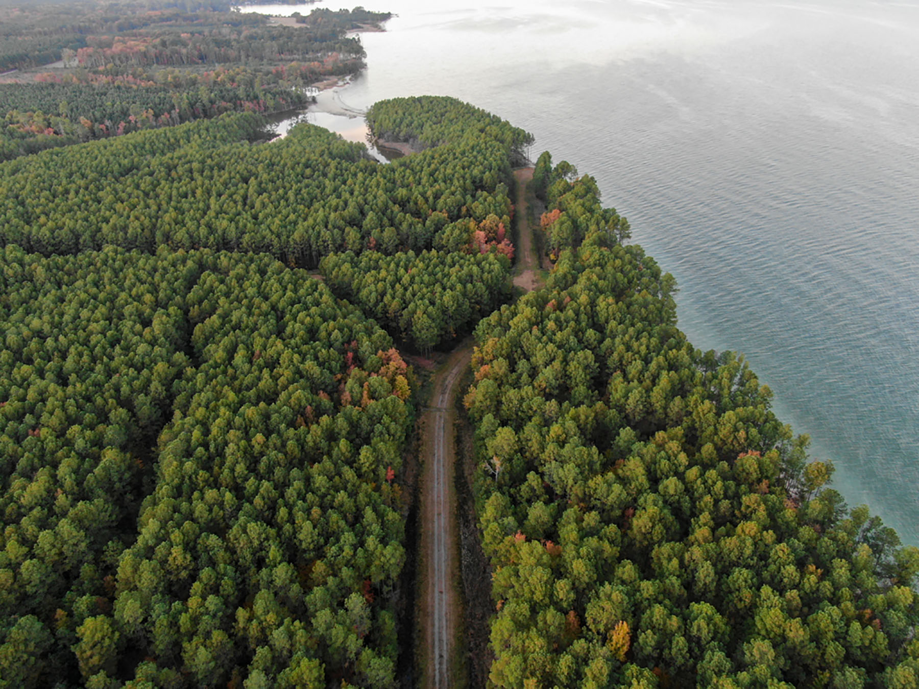 Bluff Point property picture 32 of 43