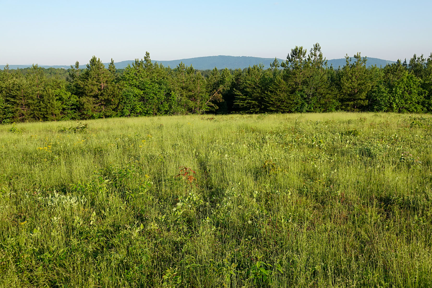 Jefferson View Farm property picture 14 of 25