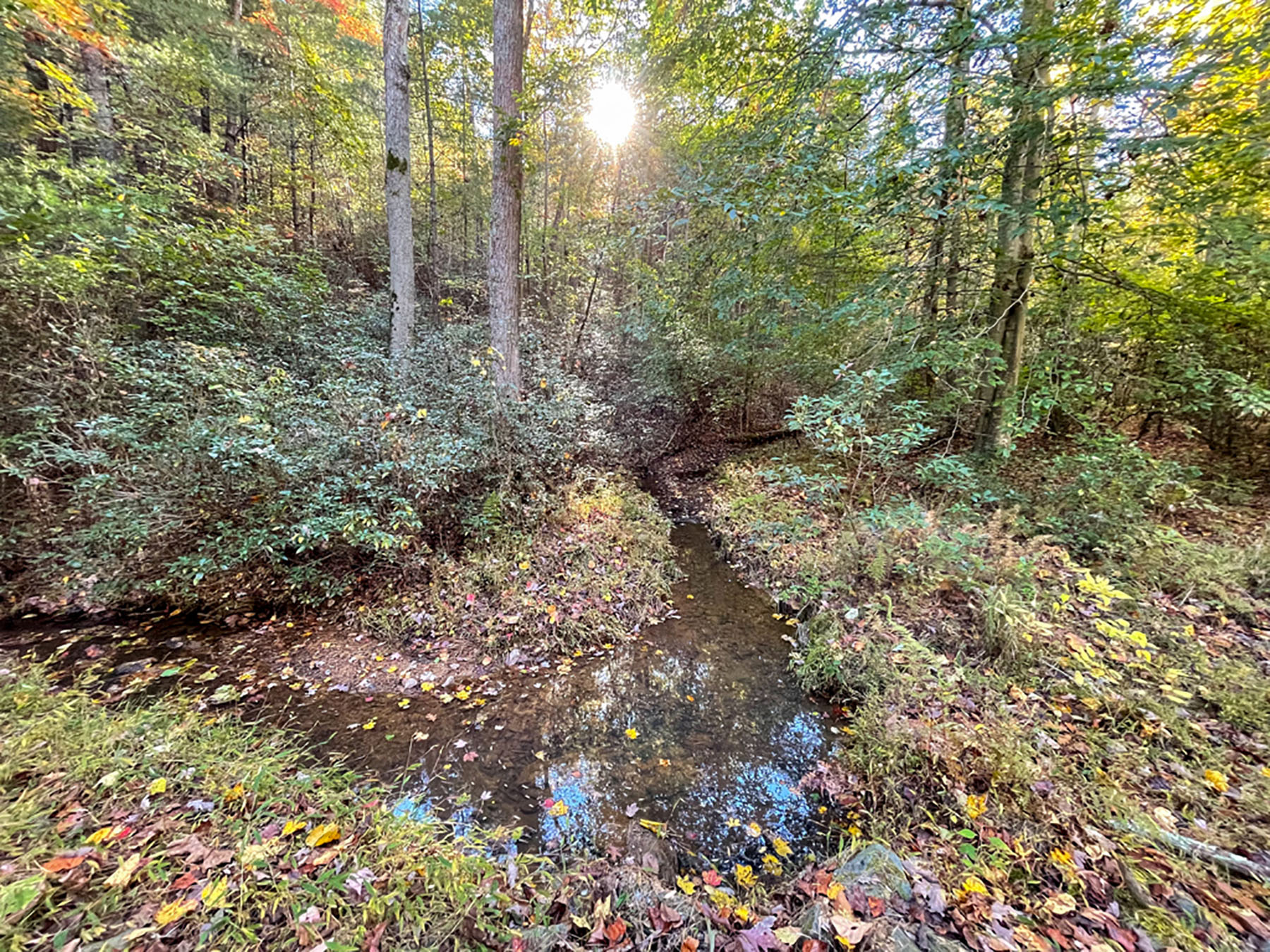 Jefferson View Farm property picture 20 of 25