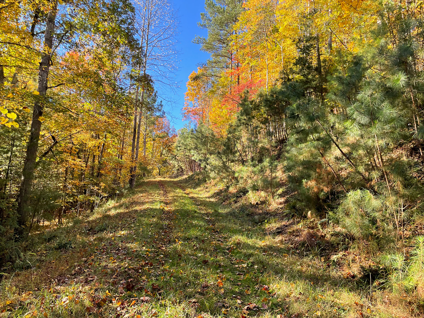 Jefferson View Farm property picture 18 of 25