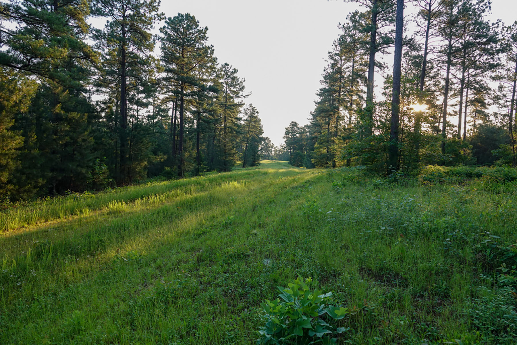 Jefferson View Farm property picture 16 of 25