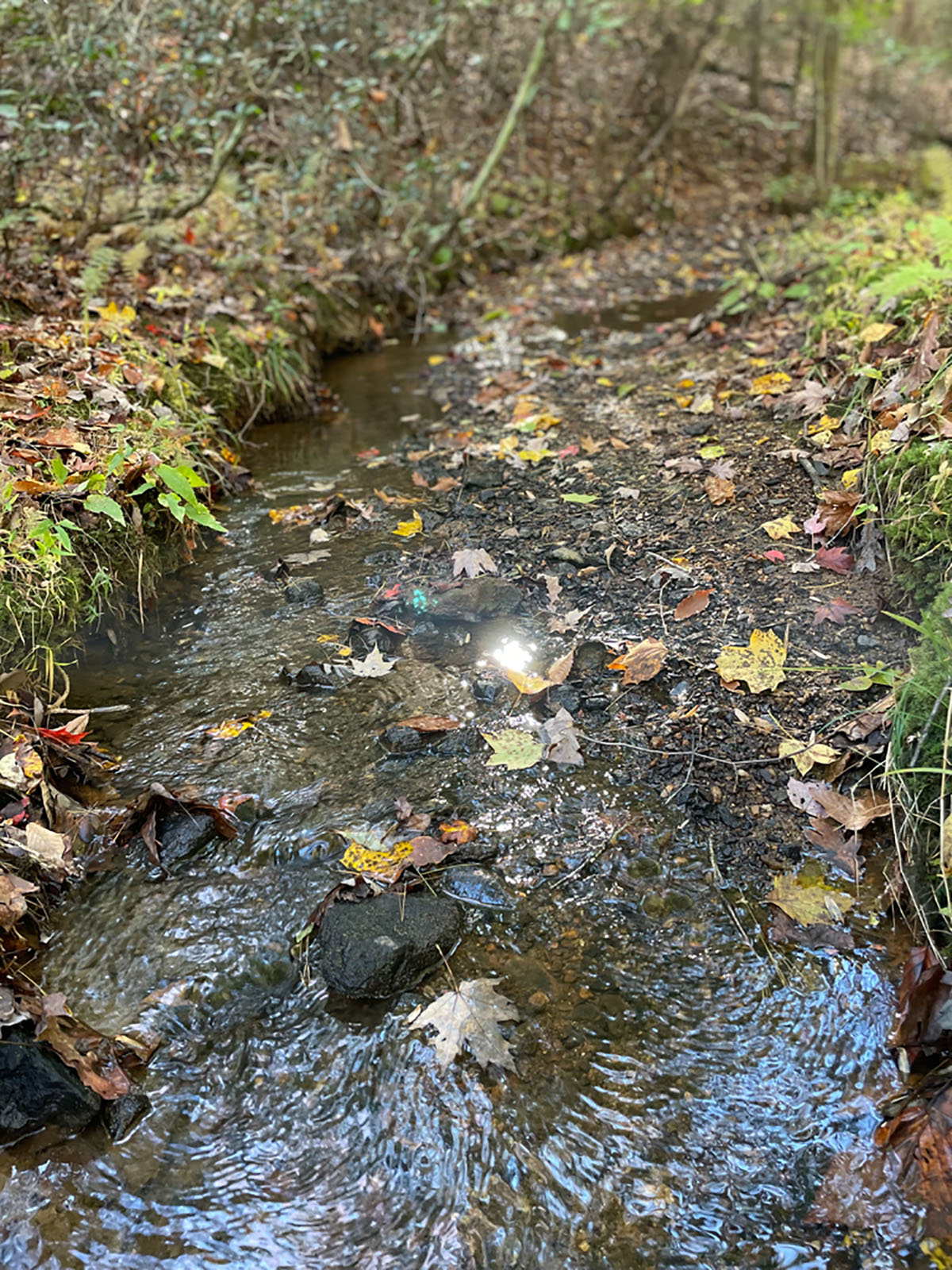 Jefferson View Farm property picture 21 of 25