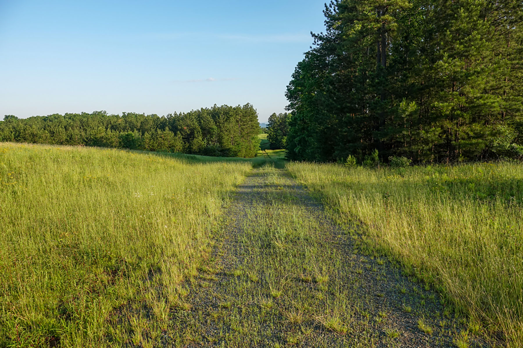 Jefferson View Farm property picture 15 of 25