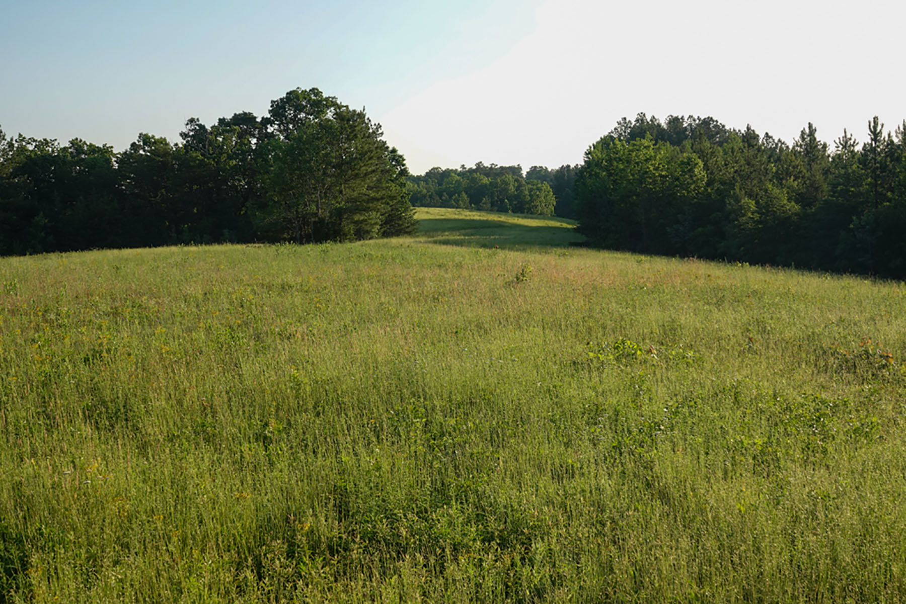Jefferson View Farm property picture 3 of 25