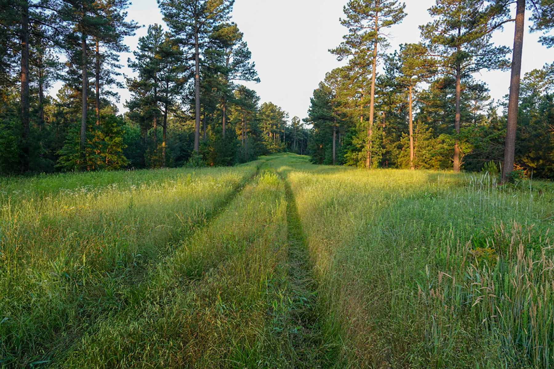 Jefferson View Farm property picture 8 of 25