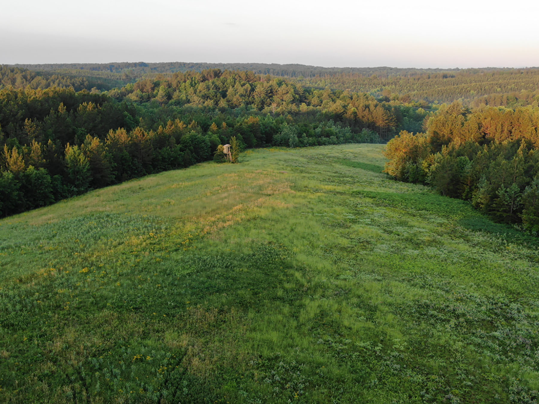 Jefferson View Farm property picture 11 of 25