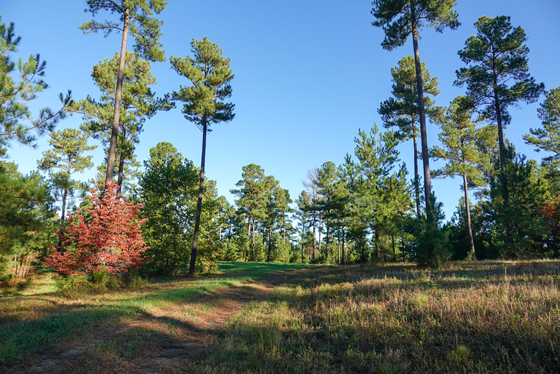 Jefferson View Farm property picture 22 of 25