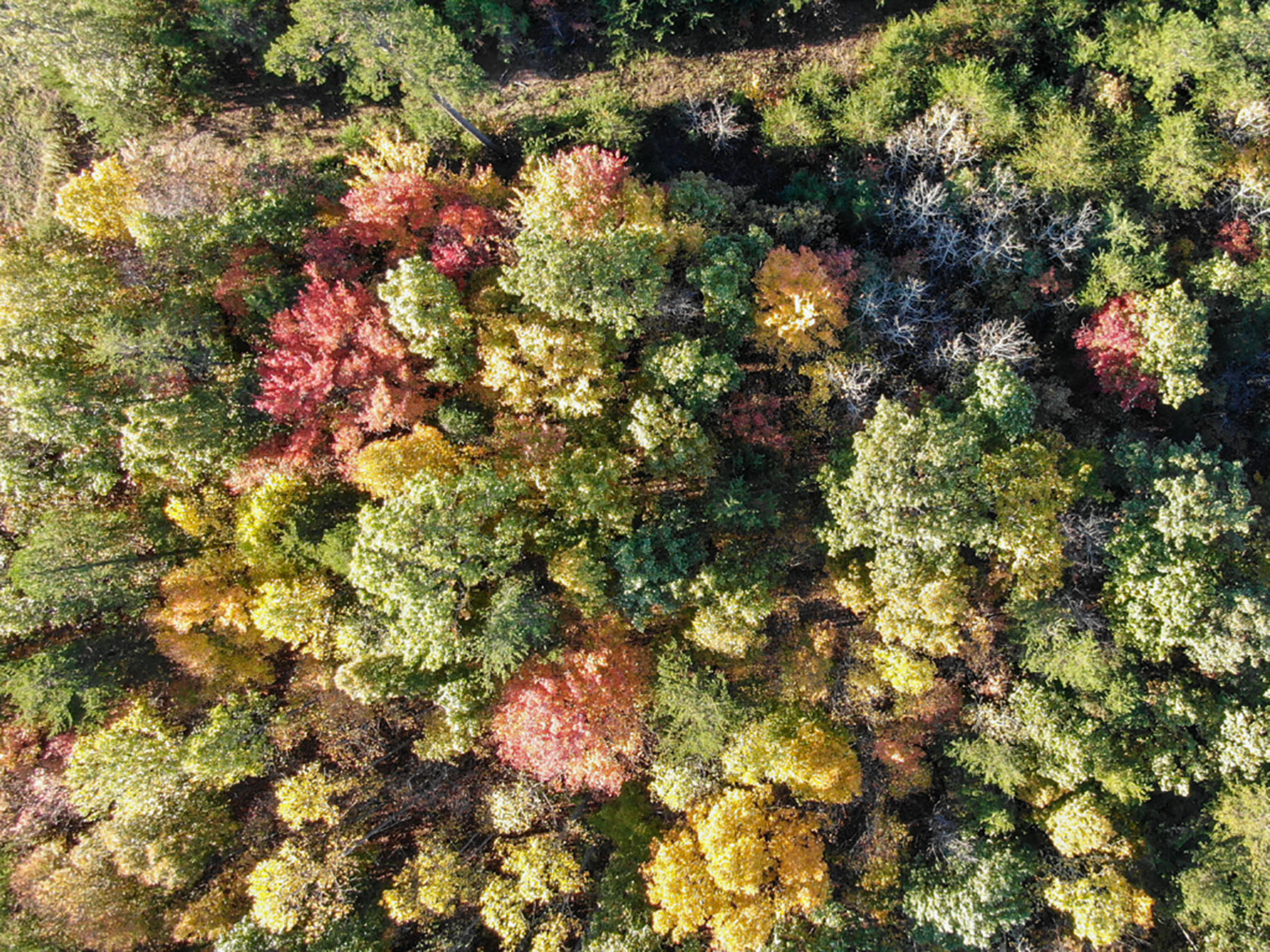 Jefferson View Farm property picture 19 of 25