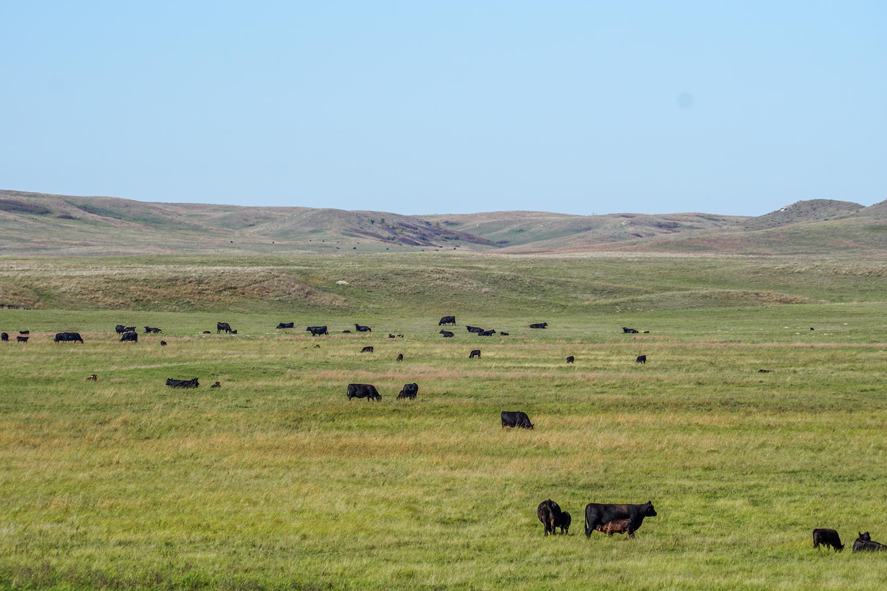 Crazy Hole Creek Ranch property picture 19 of 25