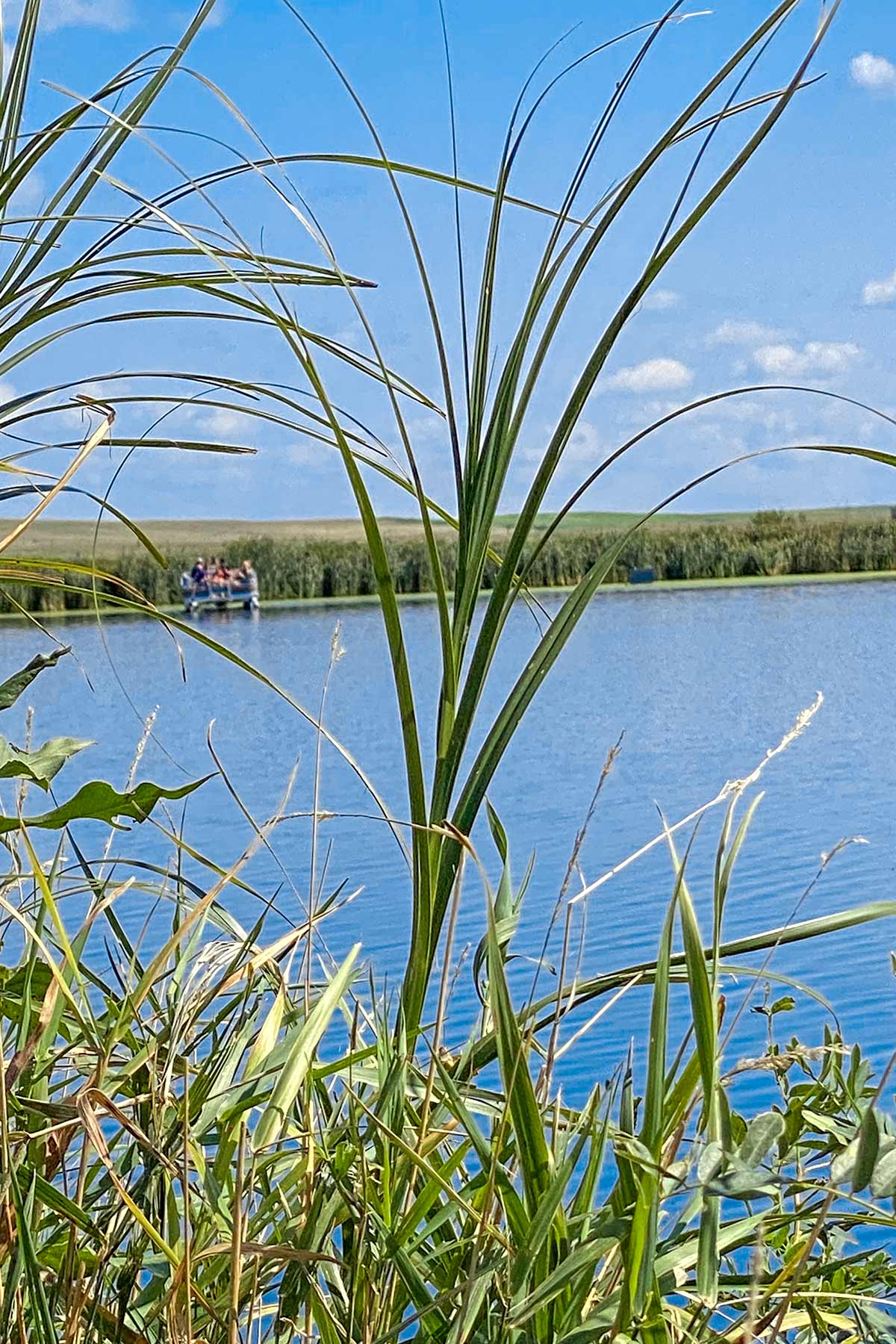 Crazy Hole Creek Ranch property picture 11 of 25