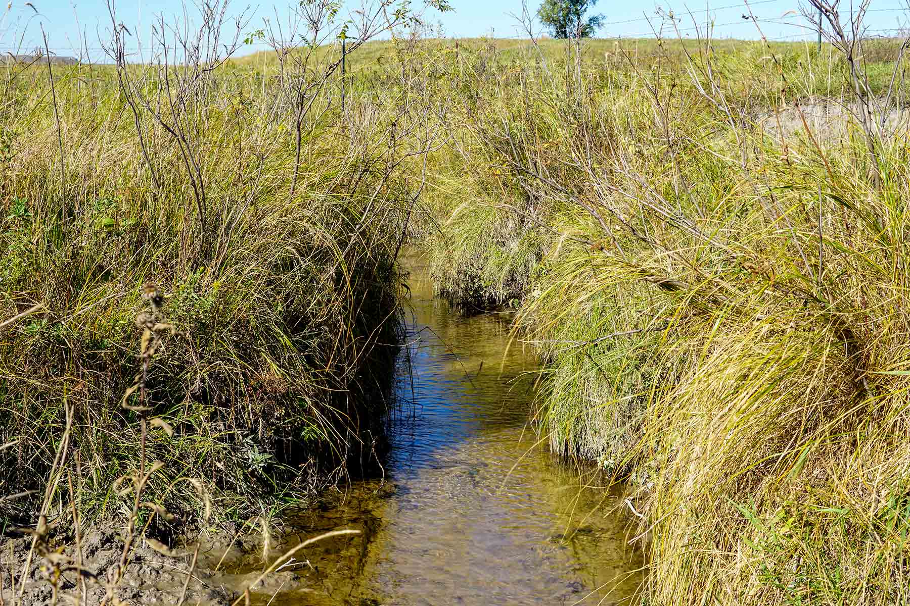 Crazy Hole Creek Ranch property picture 10 of 25