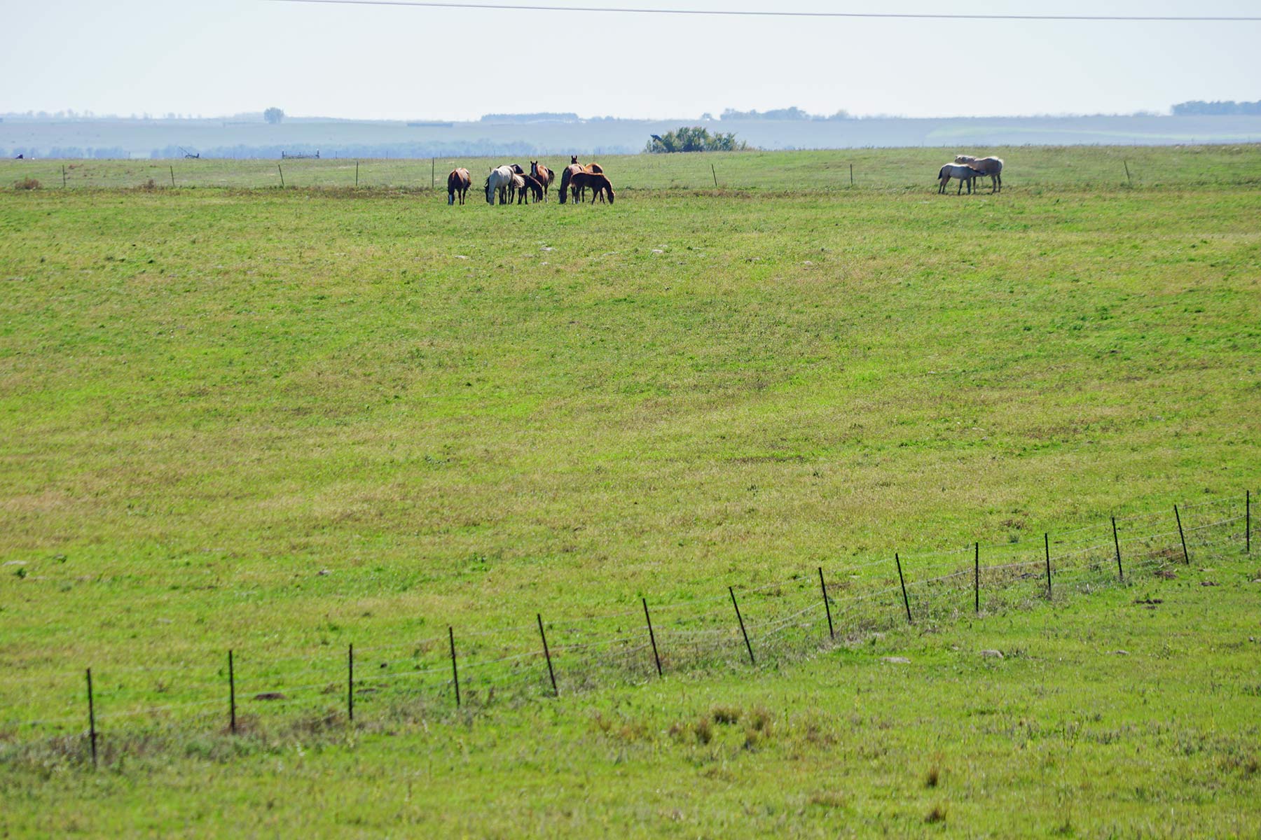 Crazy Hole Creek Ranch property picture 22 of 25