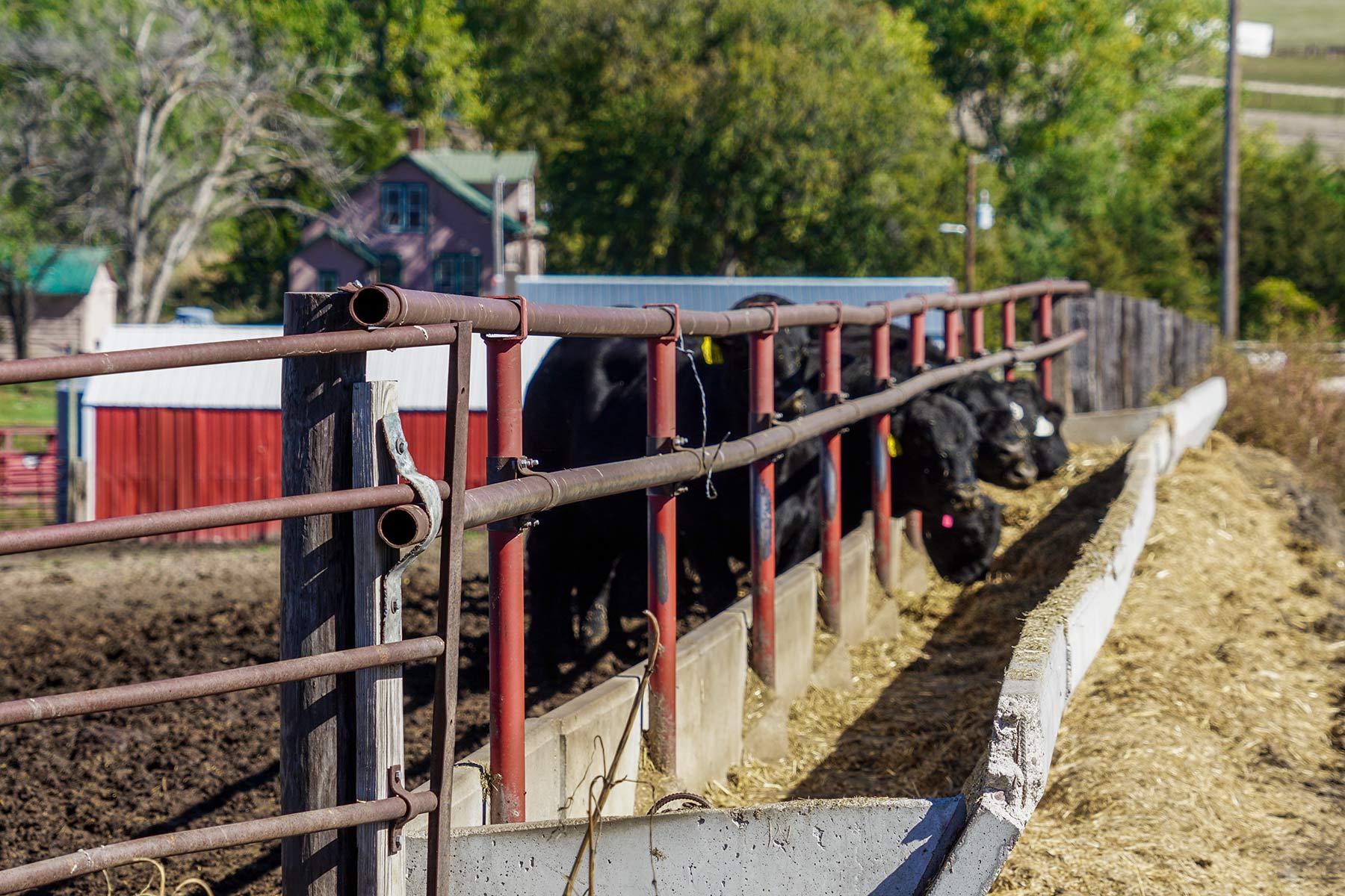 Crazy Hole Creek Ranch property picture 4 of 25